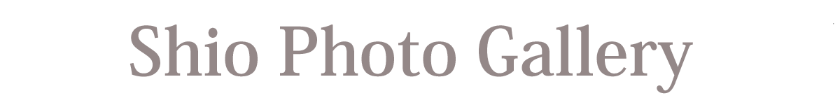 Shio Photo Gallery